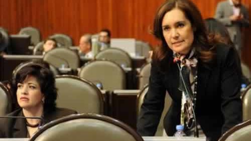 Vota el PAN en contra de reforma a ley del Seguro Social por reducción de salario: Rocío Reza
