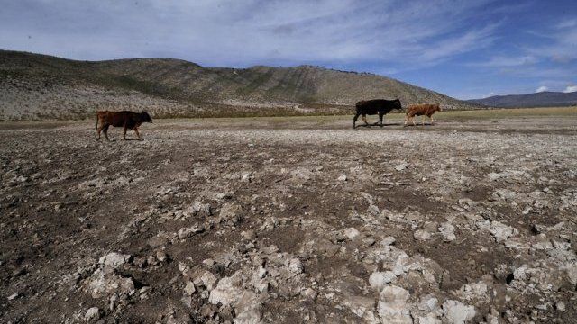 Hay 128 millones de hectáreas en el país afectadas por la sequía