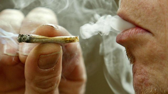 El 60.4% de los delitos contra la salud, por la mariguana
