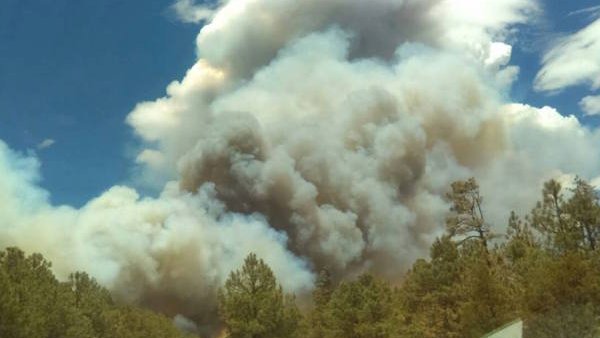 Se prenden siete nuevos incendios forestales en Guadalupe y Calvo