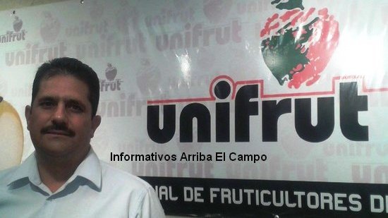 En México, audiencias de demanda antidumping a la manzana extranjera