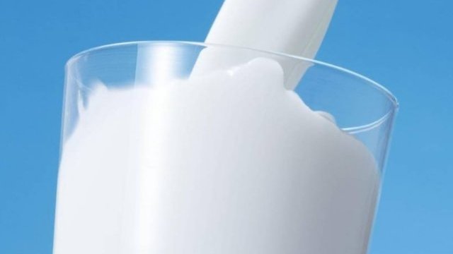 Productores mexicanos de leche pierden 12 mil mdp al año frente a importaciones