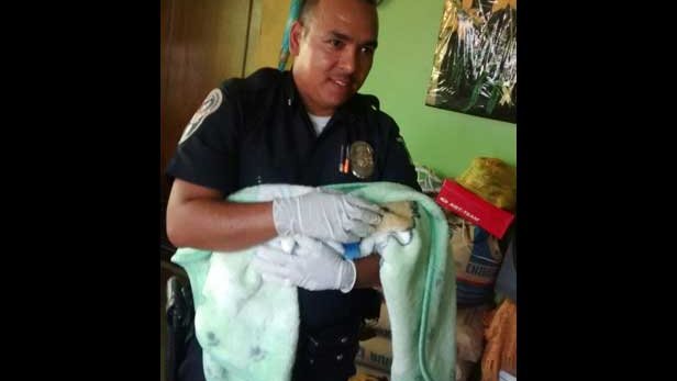 Policía recibe a bebé 