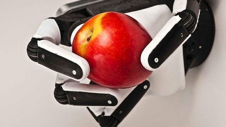 Humanos y robots forman equipo para una cosecha frutícola de tecnología punta