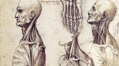 Leonardo Da Vinci y su viaje al interior del cuerpo humano