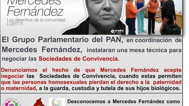 ONGs se deslindan de Mercedes Fernández 