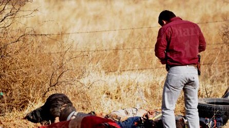 Cuatro ejecutados en la carretera a Juárez
