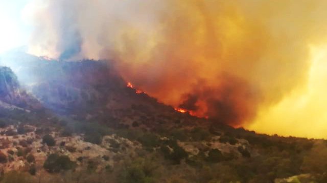 Existen 5 incendios forestales activos en el estado