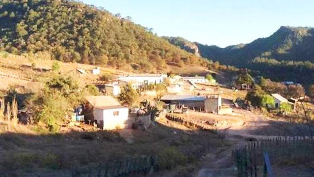 Destierra el narco a centenares de familias de la sierra de Chihuahua