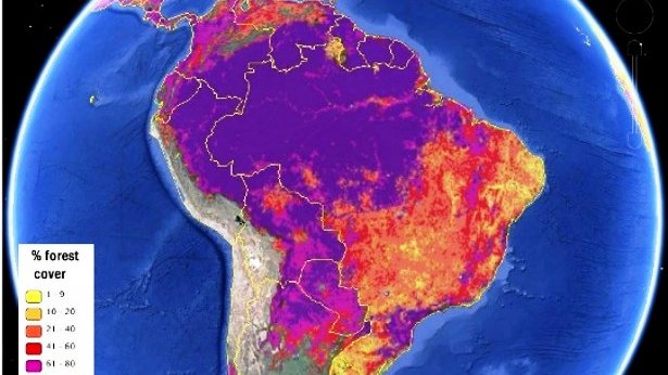 Publican nuevos mapas de la forestación del mundo