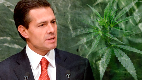 Pide Peña Nieto elevar la dosis legal de mariguana