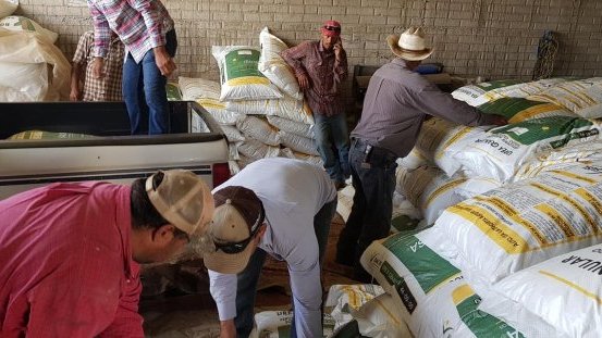 Beneficia Antorcha a campesinos de Namiquipa con paquete de fertilizante