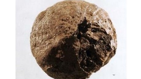 Suecia: Se descubre una cebolla de 1,500 años de antigüedad