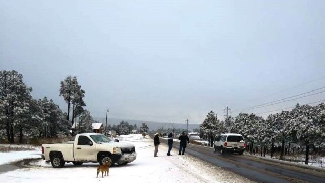 Cierran carreteras en Chihuahua por nevadas