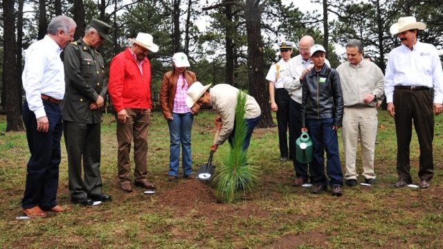 En gira por Balleza, Chihuahua, Peña Nieto anuncia proyecto forestal