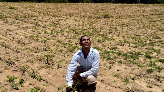 Sequía atípica afecta 12% del país, advierten