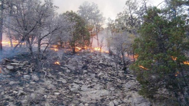 Suben incendios a 477 en el estado de Chihuahua