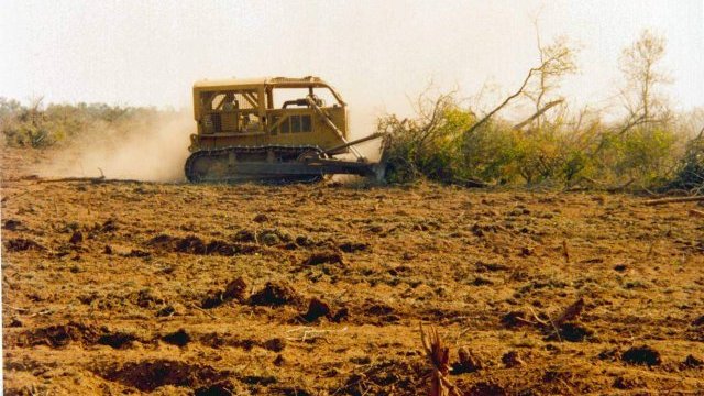 Azota sequía al 54 por ciento del territorio del país