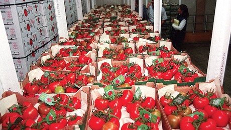 Las exportaciones de tomate bajarán este año