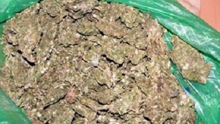 Aseguran varios kilos de marihuana en Cuauhtémoc