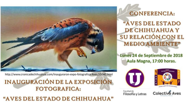 Conferencia y exhibición sobre aves de Chihuahua, en Filosofía y Letras