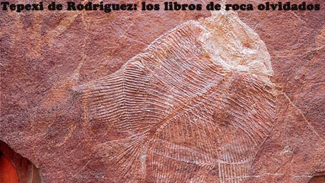 Tepexi de Rodríguez: los libros de roca olvidados