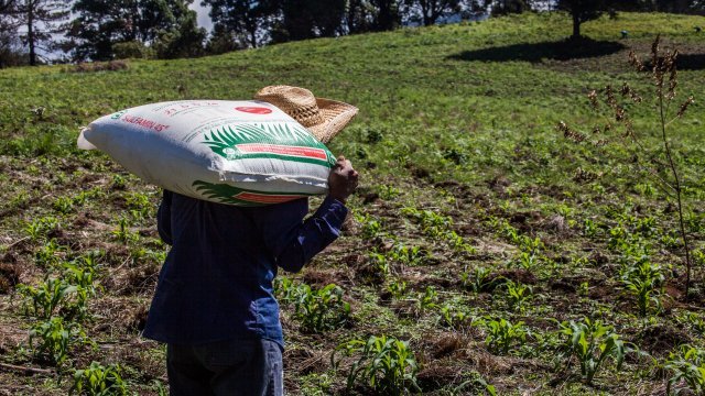Se asoma el hambre: Crisis agrícola en Guerrero