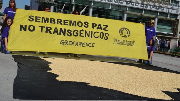 Greenpeace se manifestó contra los transgénicos