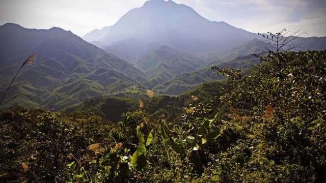 Hallan nueve muertos en monte malasio Kinabalu tras sismo