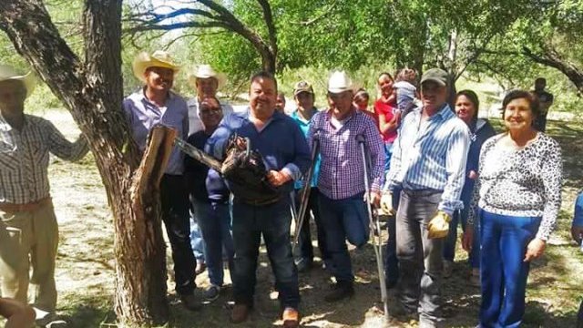 Realizan campesinos trabajo comunitario en Jiménez