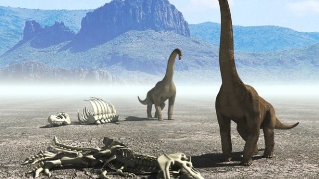 ’Sin extinción de dinosaurios no existiríamos’, afirma estudio
