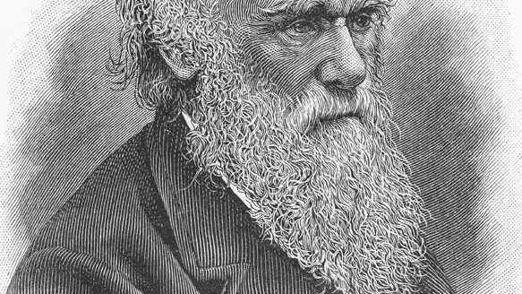 Darwin: La evolución de una teoría