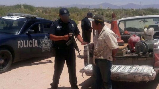 PF asegura más de 300 kilos de marihuana en Chihuahua