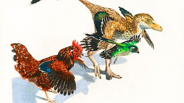 ¿Hasta cuánto atrás se remonta el origen de las aves?