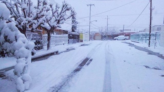 Pedirán declaratoria de emergencia por nevadas; asciende a 40 municipios 