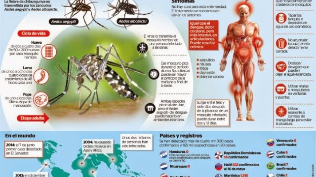 Virus del Chikungunya, podría estar en las Barrancas del Cobre