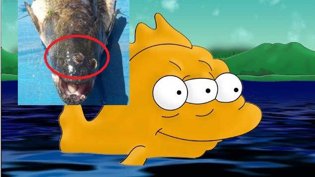 Encuentran un pez de 3 ojos en un lago cercano a una planta nuclear