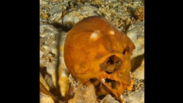 Encuentran en Quintana Roo el esqueleto humano más antiguo de América