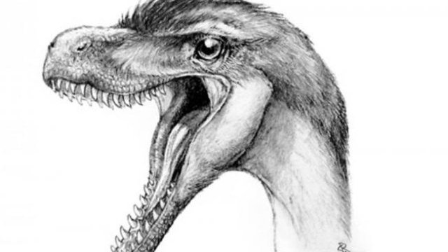 Al menos 142 dientes ayudan a descubrir 6 nuevos dinosaurios