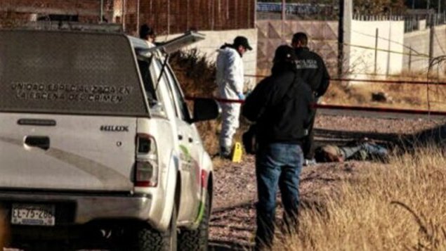 Hallan cinco cuerpos de hombres ejecutados, en Chihuahua
