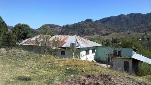 Asesinaron a un hombre en una comunidad del municipio de Guazapares