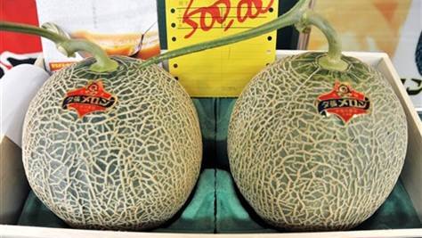 Japón: Venden dos melones por más de 27 mil dólares