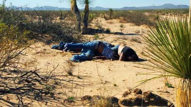 Medios informativos localizan cuatro cadáveres en el desierto