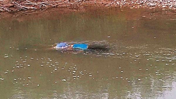 Mujer y niño centroamericanos se ahogaron en Ojinaga