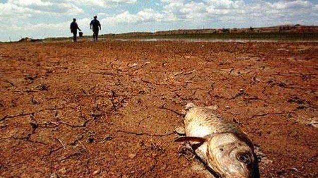 Cuatro de 12 acuíferos colapsados del país están en Chihuahua