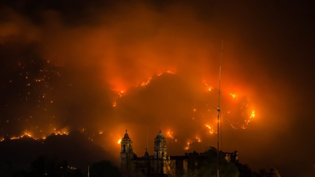 Incendio devora 244 hectáreas en el Tepozteco