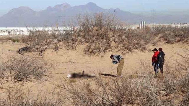 Encuentran hombre calcinado en una brecha de Juárez