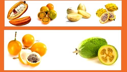 Toucan Fruit lleva frutas exóticas raras a los consumidores