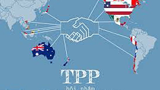 La muerte del TPP significaría el fin de la globalización liderada por EEUU
