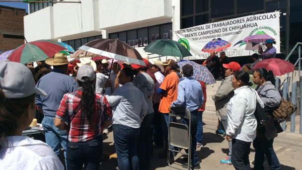 Protestan campesinos en Sagarpa; reclaman tractores